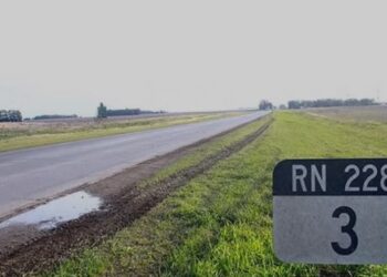Preocupación por una seguidilla de casos de abigeato en campos sobre la Ruta 228