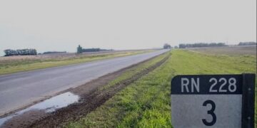 Preocupación por una seguidilla de casos de abigeato en campos sobre la Ruta 228