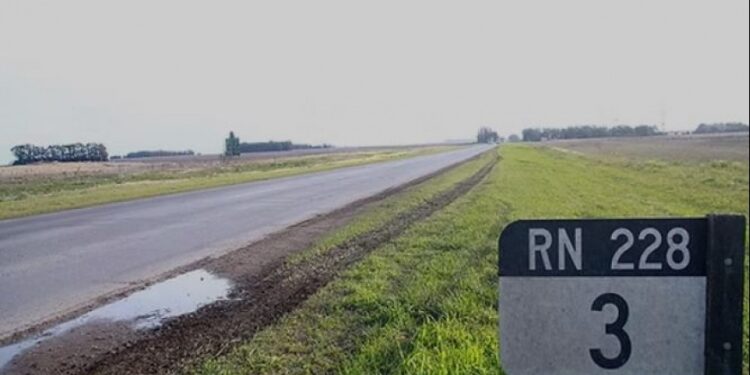 Preocupación por una seguidilla de casos de abigeato en campos sobre la Ruta 228