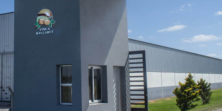 Golpe al sector productivo: Finca Balcarce anunció el cierre definitivo de sus puertas