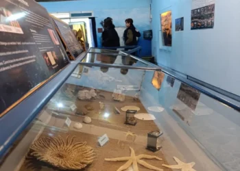 Durante junio se multiplicaron las visitas educativas a los museos del Parque