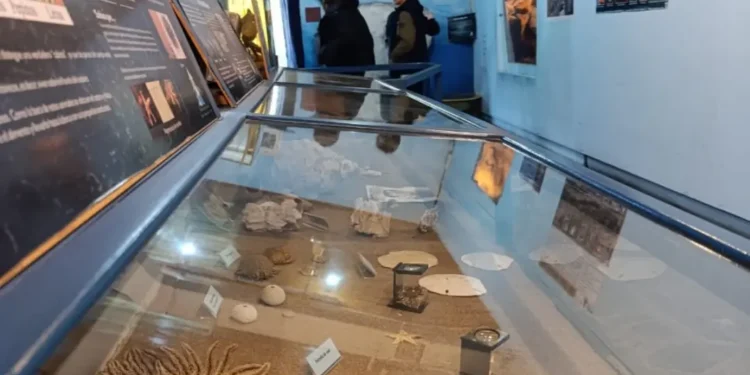 Durante junio se multiplicaron las visitas educativas a los museos del Parque