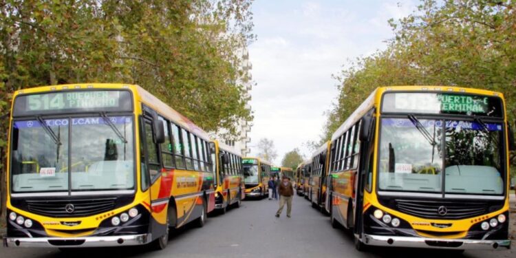 Abren la licitación para definir el futuro del transporte urbano por 20 años