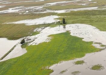 Tras las inundaciones, productores rurales reclaman obras urgentes y advierten sobre un fuerte impacto económico en Necochea
