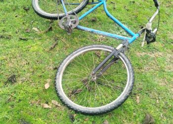 Recuperan una bicicleta robada y aprehenden a un hombre