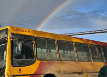 Sin colectivos verdes y con servicios reducidos en los azules: una mañana complicada para los usuarios del transporte público