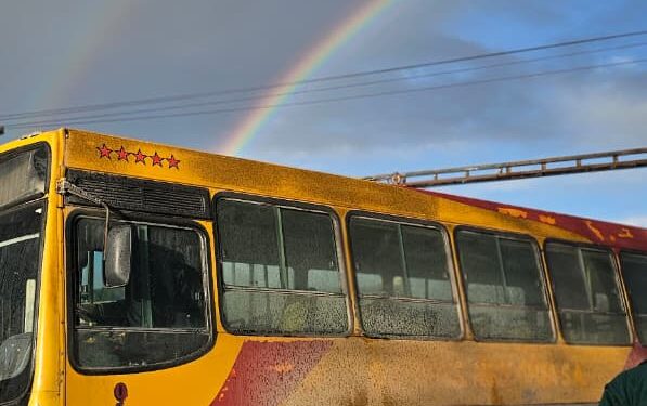 Sin colectivos verdes y con servicios reducidos en los azules: una mañana complicada para los usuarios del transporte público