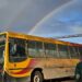 Sin colectivos verdes y con servicios reducidos en los azules: una mañana complicada para los usuarios del transporte público