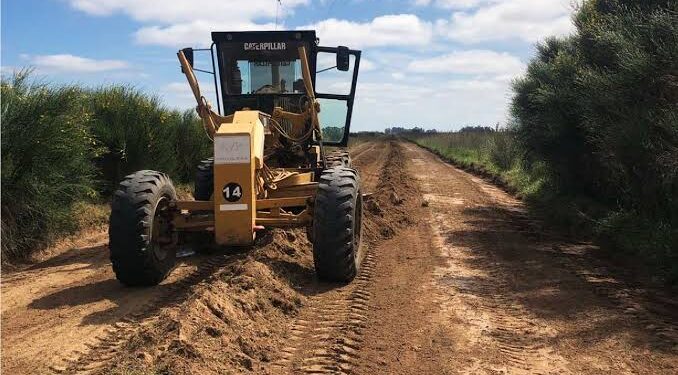 El EMSUR prioriza la recuperación de caminos rurales y avanza con obras de agua y cloacas en distintos sectores de la ciudad