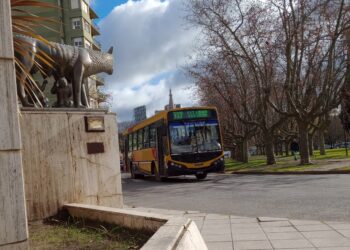 Conflicto del transporte: aseguran que la situación salarial de los choferes “se agravó en los últimos meses”