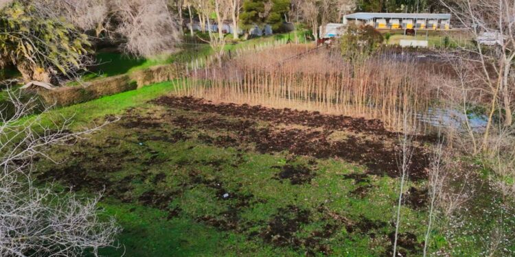 El Vivero Municipal: años de trabajo para construir una Necochea más verde