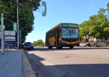 Retención de tareas en el transporte urbano por deudas salariales: no habrá colectivos hasta el jueves a las 5