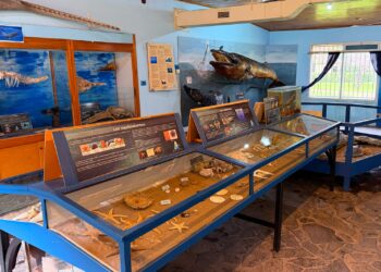 Los museos municipales abren con horarios especiales durante las vacaciones de invierno