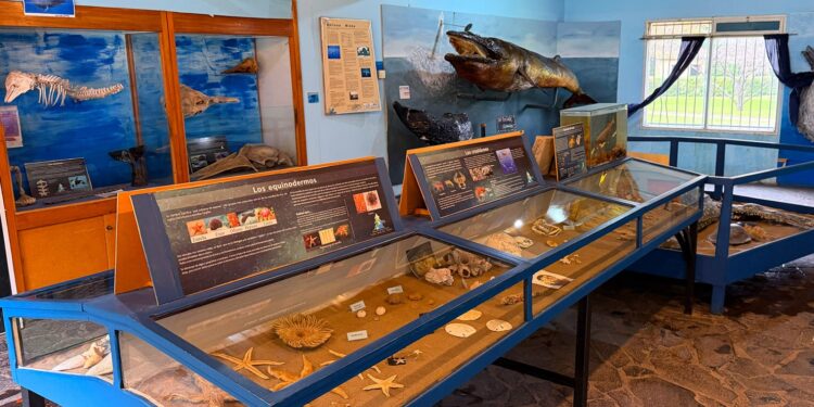 Los museos municipales abren con horarios especiales durante las vacaciones de invierno