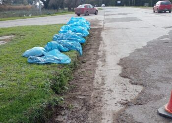 Refuerzan la limpieza y el mantenimiento en distintos sectores de Necochea y Quequén