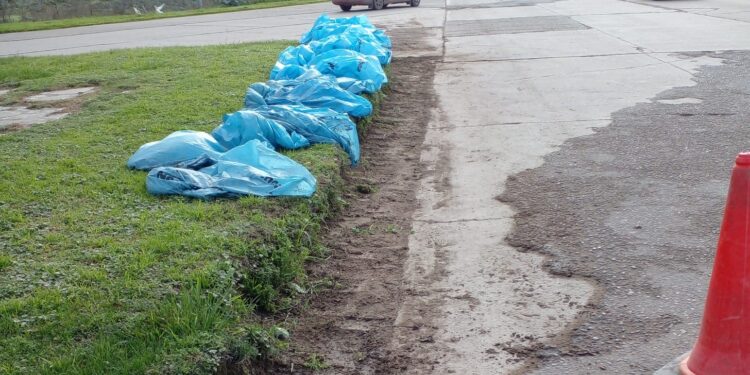 Refuerzan la limpieza y el mantenimiento en distintos sectores de Necochea y Quequén