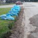 Refuerzan la limpieza y el mantenimiento en distintos sectores de Necochea y Quequén