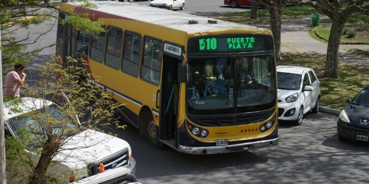 Acuerdo parcial por la deuda salarial en el transporte: la empresa prometió completar pagos y el gremio mantendrá el reclamo