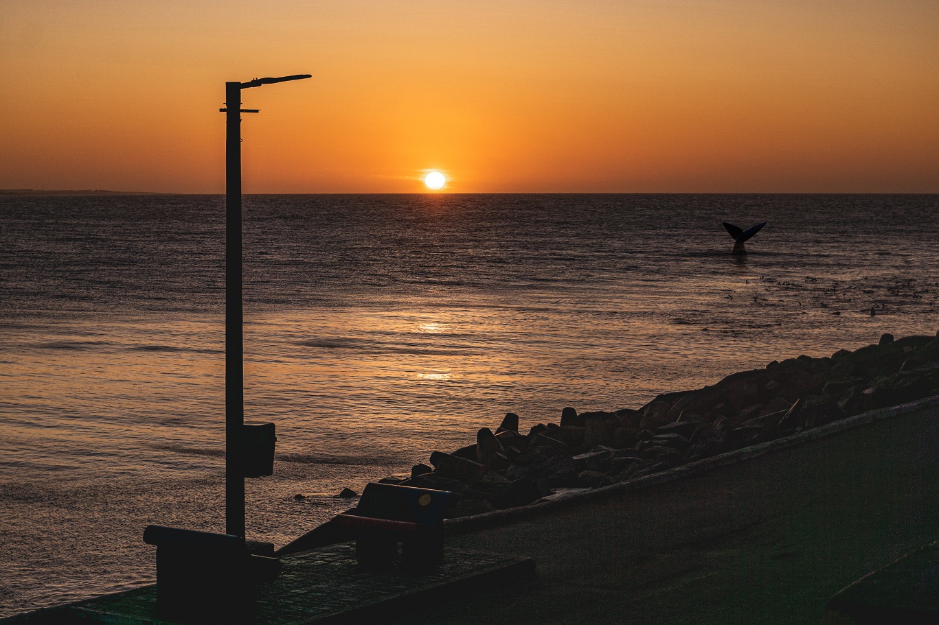 Vacaciones de invierno: Necochea ofrece una agenda gratuita con deportes, espectáculos, turismo y actividades para toda la familia