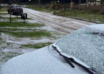 Advierten que podrían volver las olas de frío y anticipan un año con más lluvias