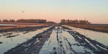 Productores rurales advierten que la crisis hídrica persiste y reclaman obras urgentes para recuperar los caminos