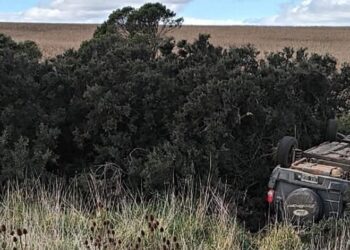 Una familia de Lobería volcó en la Ruta 55: un hombre y dos menores fueron hospitalizados