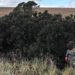 Una familia de Lobería volcó en la Ruta 55: un hombre y dos menores fueron hospitalizados