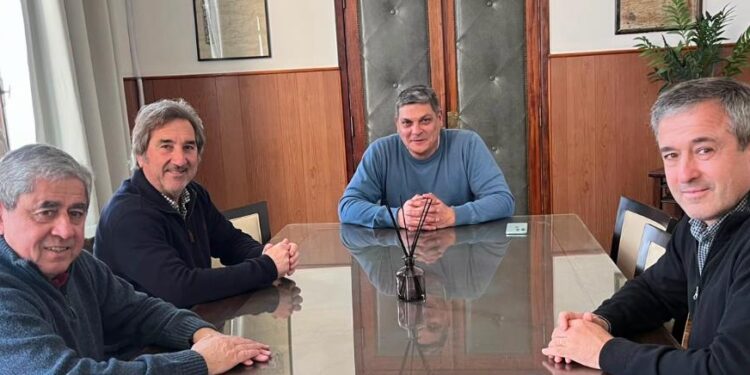 La Usina Popular Cooperativa avanza con un proyecto de energía solar para fortalecer el servicio eléctrico en Arenas Verdes