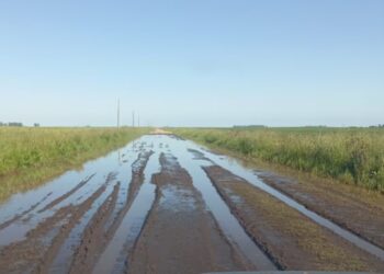 Giorello: “La recuperación definitiva de los caminos rurales podría llegar en primavera”
