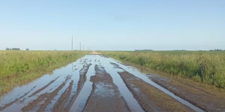 Giorello: “La recuperación definitiva de los caminos rurales podría llegar en primavera”