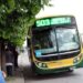 Una empresa de Rosario mostró interés por el transporte público de Necochea y habría más firmas interesadas