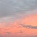 Viernes con buen tiempo y una máxima de 19°C en Necochea