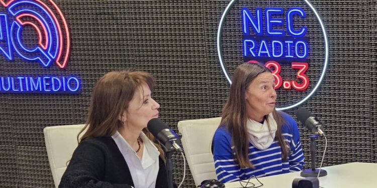 Más de 60 emprendedores participarán de una feria solidaria en la Escuela Danesa