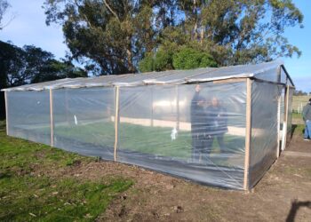Costa Bonita suma un invernáculo educativo para aprender, producir y cuidar el ambiente