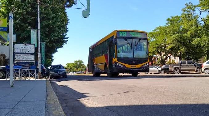 María José Hegui: “No podemos darnos el lujo de prescindir del transporte público”