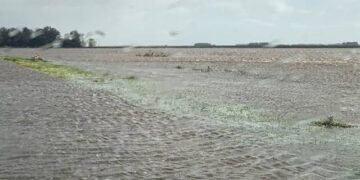 La región se prepara ante El Niño: municipios coordinan un plan de contingencia por lluvias y emergencias