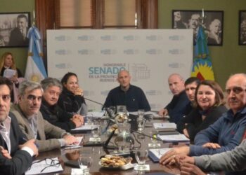 La comisión de Legislación General del Senado no incluyó el expediente que busca eliminar el límite de mandatos para los jefes comunales.
