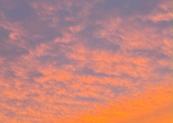 Día de la Primavera, pero todavía en invierno: cuándo comienza oficialmente la nueva estación