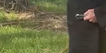 Indignación en Necochea: una mujer se grabó dando rodillazos y golpeando con un palo a un perro para “entrenarlo”