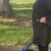 Indignación en Necochea: una mujer se grabó dando rodillazos y golpeando con un palo a un perro para “entrenarlo”