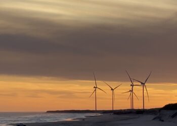 Día primaveral: la temperatura llegará a los 20 grados