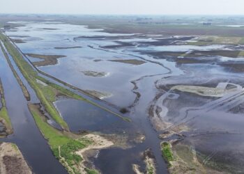 Declararon la emergencia agropecuaria por inundaciones en sectores rurales de Necochea