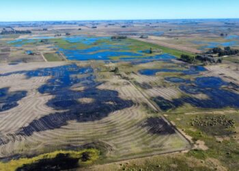Nación declaró la emergencia agropecuaria por inundaciones en cuatro zonas de Necochea