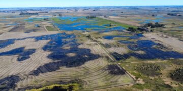 Nación declaró la emergencia agropecuaria por inundaciones en cuatro zonas de Necochea