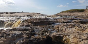La Reserva Arroyo Zabala y la importancia de proteger los ambientes naturales