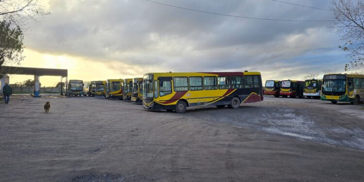Conflicto en el transporte público de Necochea: las empresas no abrirían los portones este viernes y crece la tensión