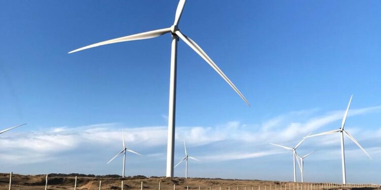 La Provincia habilitó a las cooperativas eléctricas a generar energía renovable y acceder a financiamiento