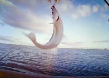 Entre carnadas, mates y recuerdos: la pesca que sigue siendo parte del paisaje de Necochea